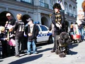 Mystic-Krewe-of-Barkus-2010-HC-Dog-Parade-Mardi-Gras-New-Orleans-8450