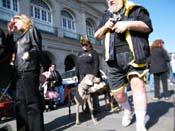 Mystic-Krewe-of-Barkus-2010-HC-Dog-Parade-Mardi-Gras-New-Orleans-8463