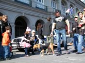 Mystic-Krewe-of-Barkus-2010-HC-Dog-Parade-Mardi-Gras-New-Orleans-8469