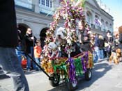 Mystic-Krewe-of-Barkus-2010-HC-Dog-Parade-Mardi-Gras-New-Orleans-8472