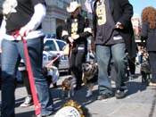 Mystic-Krewe-of-Barkus-2010-HC-Dog-Parade-Mardi-Gras-New-Orleans-8495
