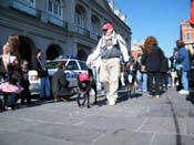 Mystic-Krewe-of-Barkus-2010-HC-Dog-Parade-Mardi-Gras-New-Orleans-8531