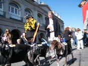 Mystic-Krewe-of-Barkus-2010-HC-Dog-Parade-Mardi-Gras-New-Orleans-8543