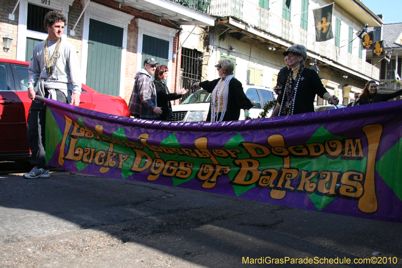 Mystic-Krewe-of-Barkus-Mardi-Gras-2010-French-Quarter-4892