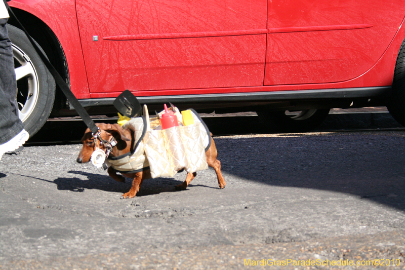 Mystic-Krewe-of-Barkus-Mardi-Gras-2010-French-Quarter-4914
