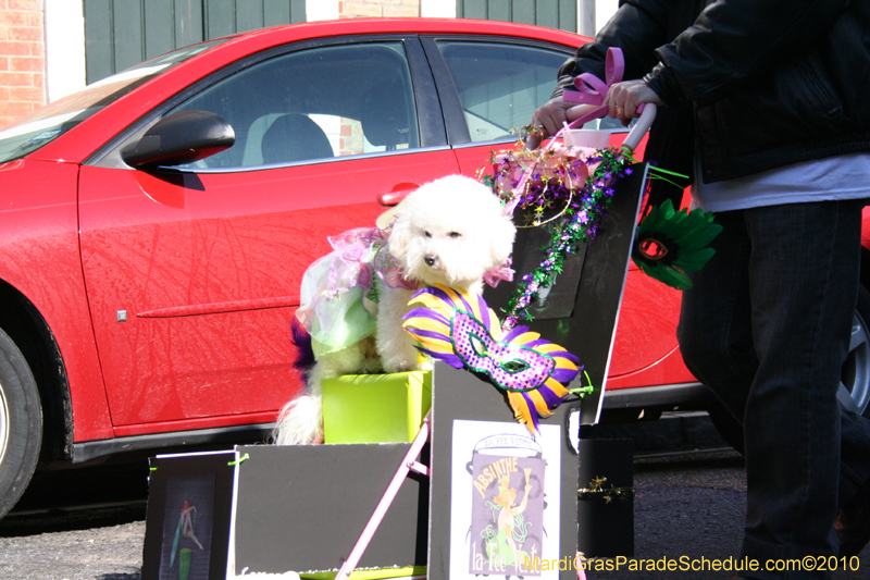 Mystic-Krewe-of-Barkus-Mardi-Gras-2010-French-Quarter-4915