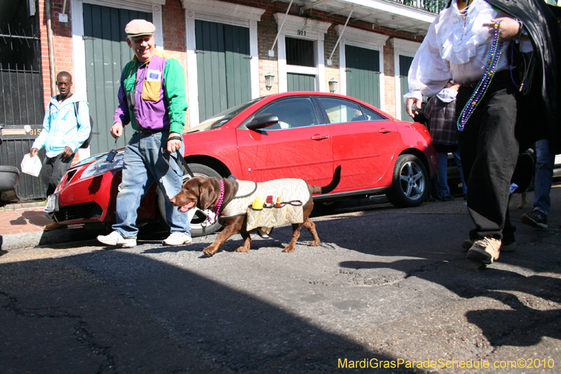 Mystic-Krewe-of-Barkus-Mardi-Gras-2010-French-Quarter-4919