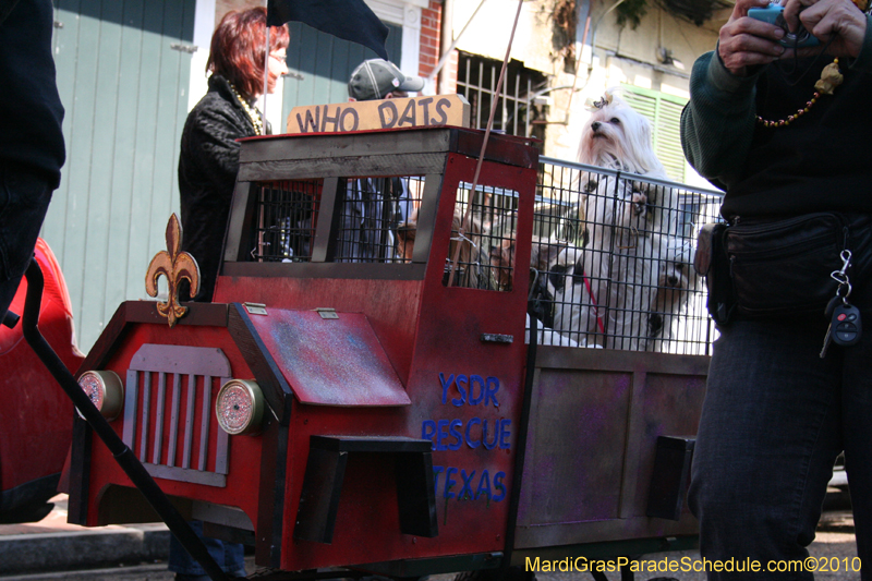 Mystic-Krewe-of-Barkus-Mardi-Gras-2010-French-Quarter-4931