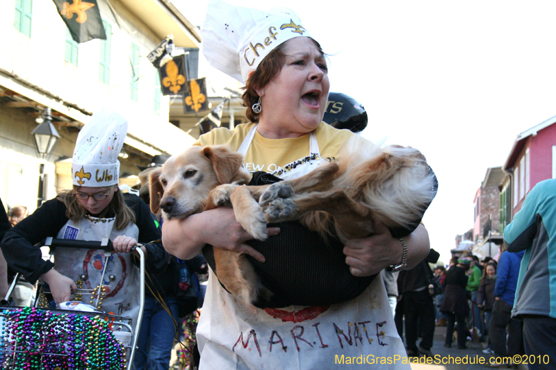Mystic-Krewe-of-Barkus-Mardi-Gras-2010-French-Quarter-4932