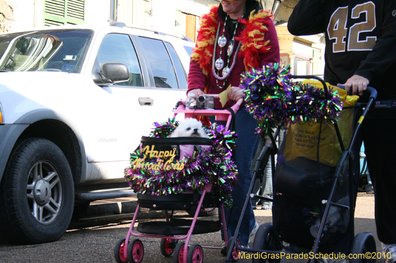 Mystic-Krewe-of-Barkus-Mardi-Gras-2010-French-Quarter-4940