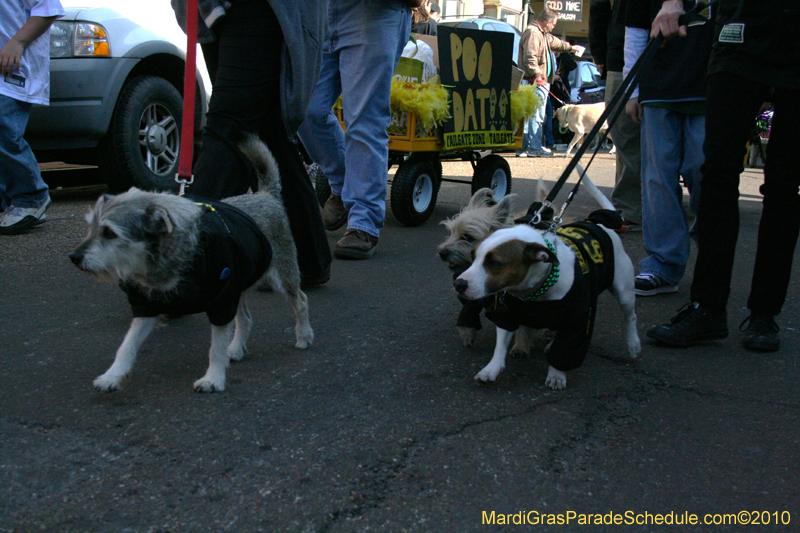 Mystic-Krewe-of-Barkus-Mardi-Gras-2010-French-Quarter-4947