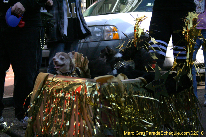Mystic-Krewe-of-Barkus-Mardi-Gras-2010-French-Quarter-4951