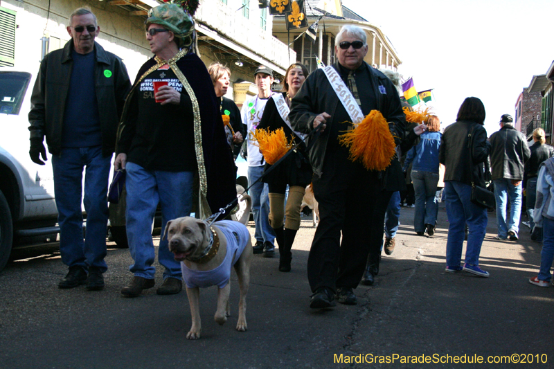 Mystic-Krewe-of-Barkus-Mardi-Gras-2010-French-Quarter-4956