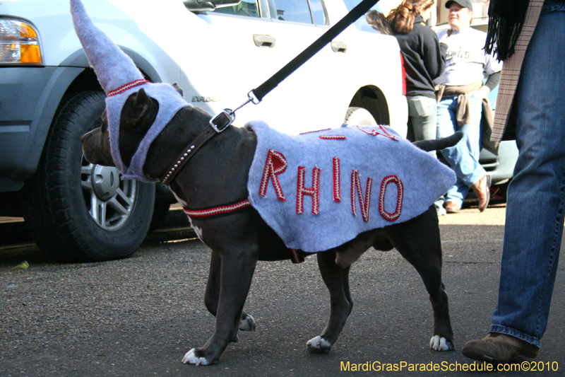 Mystic-Krewe-of-Barkus-Mardi-Gras-2010-French-Quarter-4968