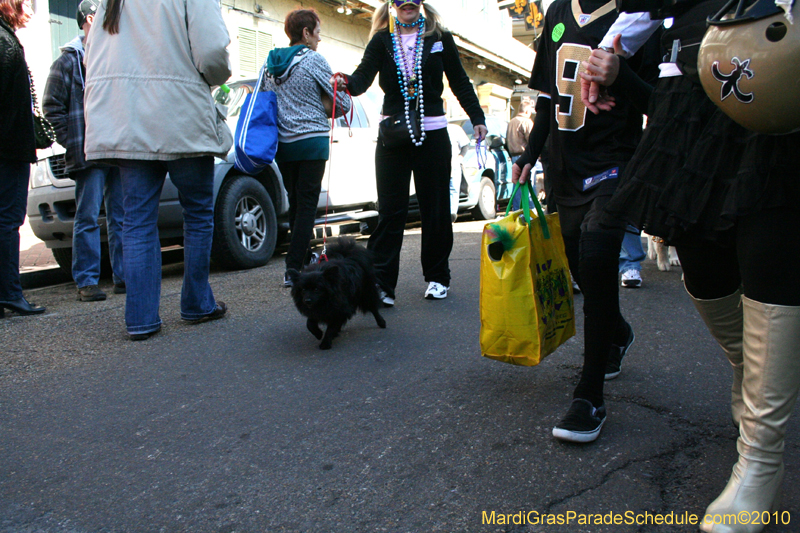 Mystic-Krewe-of-Barkus-Mardi-Gras-2010-French-Quarter-4971