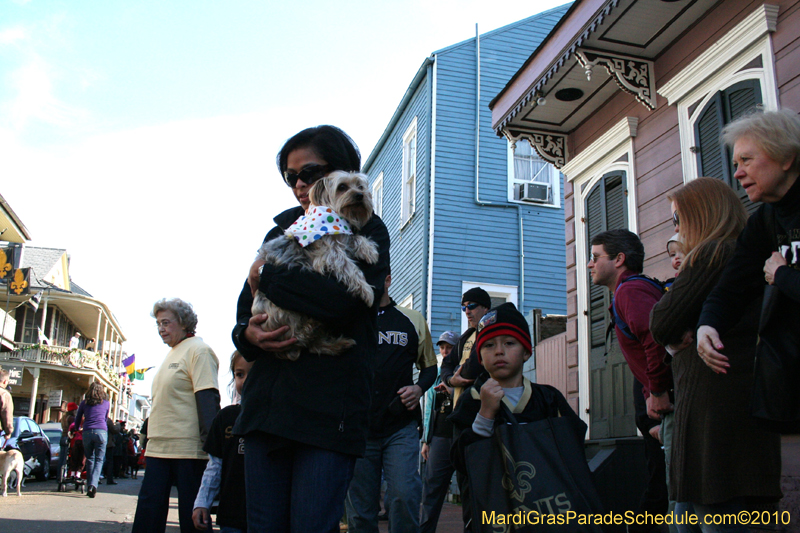 Mystic-Krewe-of-Barkus-Mardi-Gras-2010-French-Quarter-4975
