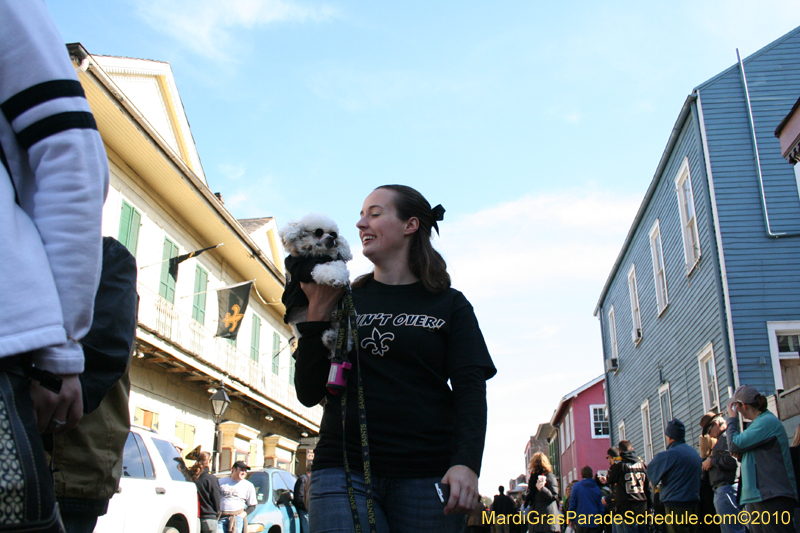 Mystic-Krewe-of-Barkus-Mardi-Gras-2010-French-Quarter-4981