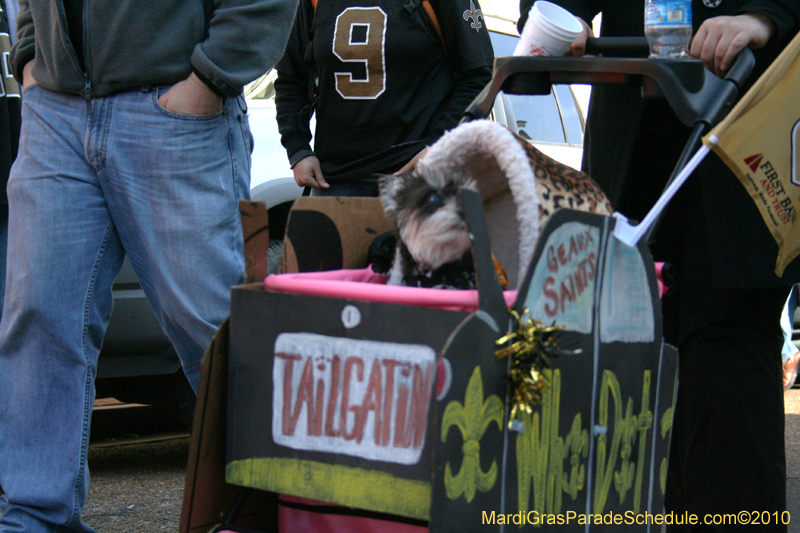 Mystic-Krewe-of-Barkus-Mardi-Gras-2010-French-Quarter-4985