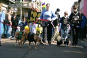 Mystic-Krewe-of-Barkus-Mardi-Gras-2010-French-Quarter-4945