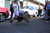 Mystic-Krewe-of-Barkus-Mardi-Gras-2010-French-Quarter-4946
