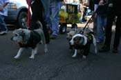Mystic-Krewe-of-Barkus-Mardi-Gras-2010-French-Quarter-4947