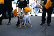 Mystic-Krewe-of-Barkus-Mardi-Gras-2010-French-Quarter-4957