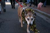 Mystic-Krewe-of-Barkus-Mardi-Gras-2010-French-Quarter-4960