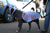 Mystic-Krewe-of-Barkus-Mardi-Gras-2010-French-Quarter-4968