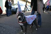 Mystic-Krewe-of-Barkus-Mardi-Gras-2010-French-Quarter-4969