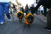 Mystic-Krewe-of-Barkus-Mardi-Gras-2010-French-Quarter-4970