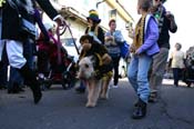 Mystic-Krewe-of-Barkus-Mardi-Gras-2010-French-Quarter-4974