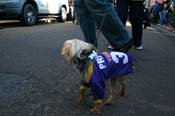Mystic-Krewe-of-Barkus-Mardi-Gras-2010-French-Quarter-4976