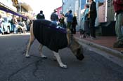 Mystic-Krewe-of-Barkus-Mardi-Gras-2010-French-Quarter-4979