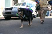 Mystic-Krewe-of-Barkus-Mardi-Gras-2010-French-Quarter-5000
