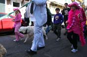 Mystic-Krewe-of-Barkus-Mardi-Gras-2010-French-Quarter-5014