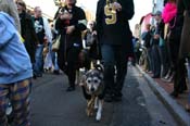 Mystic-Krewe-of-Barkus-Mardi-Gras-2010-French-Quarter-5016