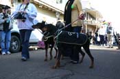 Mystic-Krewe-of-Barkus-Mardi-Gras-2010-French-Quarter-5025