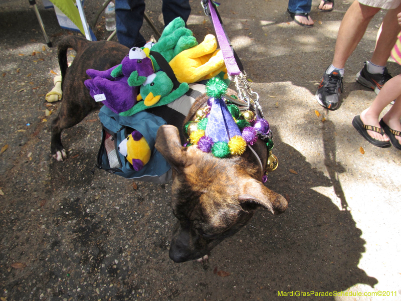Mystic-Krewe-of-Barkus-HC-2011-0031