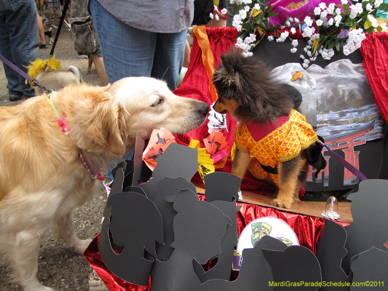 Mystic-Krewe-of-Barkus-HC-2011-0038