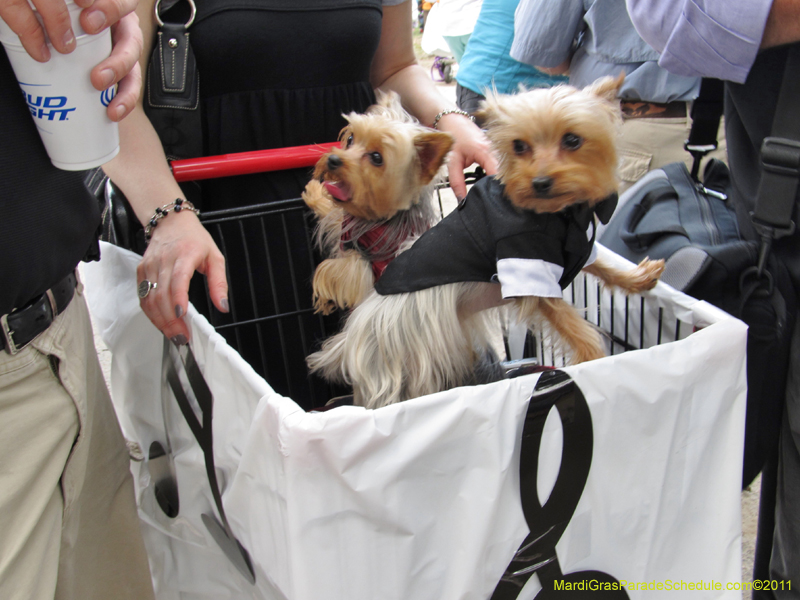 Mystic-Krewe-of-Barkus-HC-2011-0040