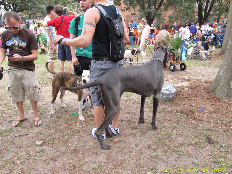 Mystic-Krewe-of-Barkus-HC-2011-0041