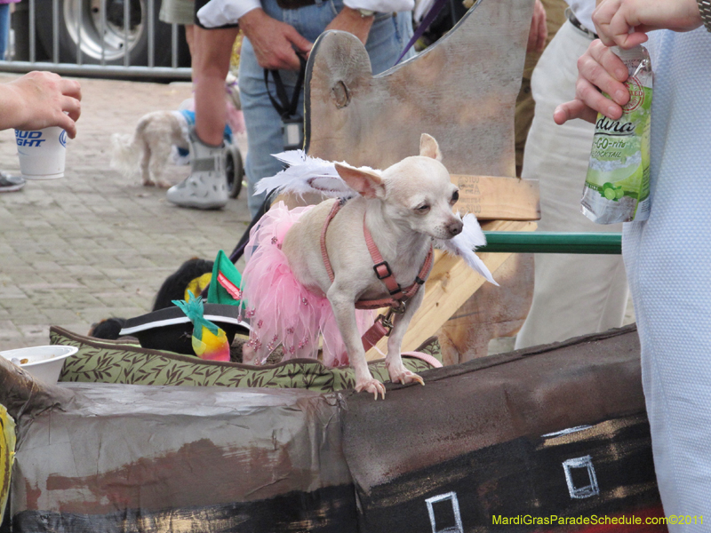 Mystic-Krewe-of-Barkus-HC-2011-0042