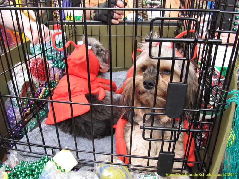 Mystic-Krewe-of-Barkus-HC-2011-0045