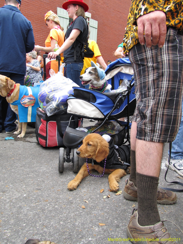 Mystic-Krewe-of-Barkus-HC-2011-0048