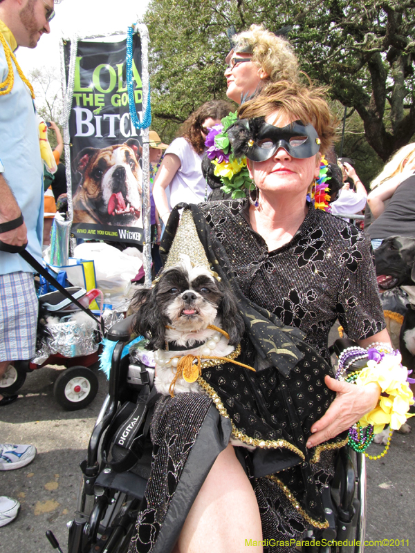 Mystic-Krewe-of-Barkus-HC-2011-0052