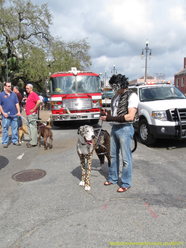 Mystic-Krewe-of-Barkus-HC-2011-0053