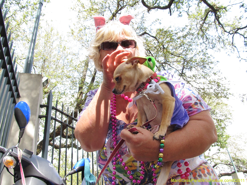 Mystic-Krewe-of-Barkus-HC-2011-0056