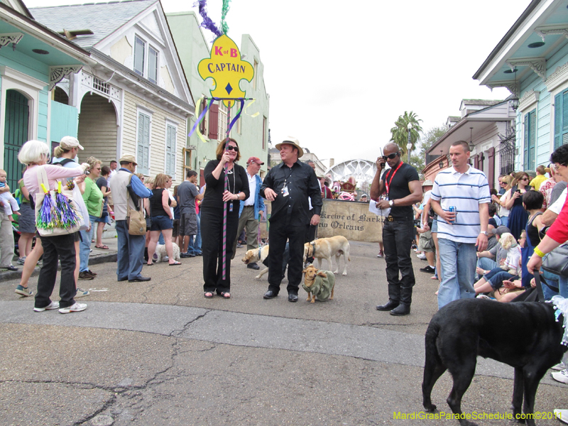 Mystic-Krewe-of-Barkus-HC-2011-0062