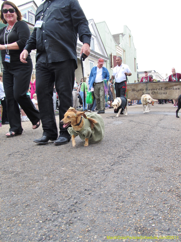 Mystic-Krewe-of-Barkus-HC-2011-0063