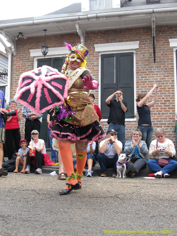 Mystic-Krewe-of-Barkus-HC-2011-0068